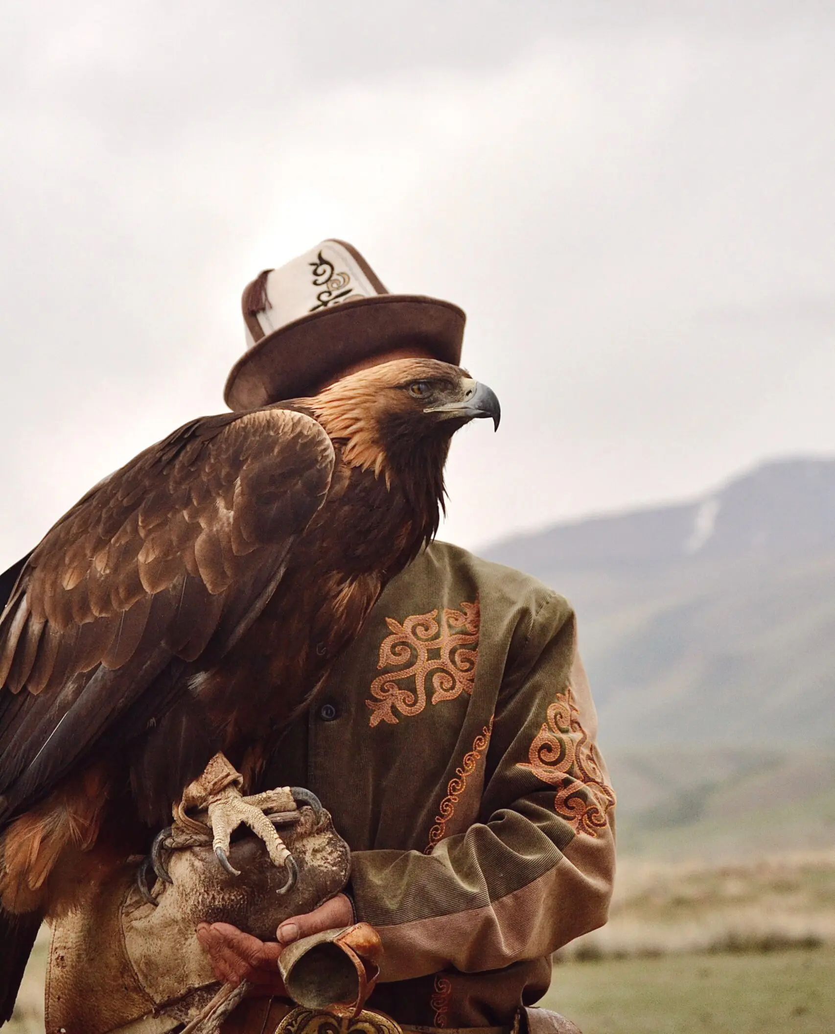 Eagle show