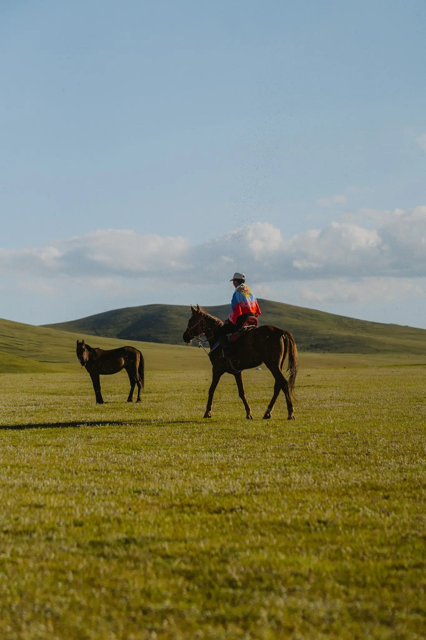 person te paard in een uitgestrekt groen landschap met een ander paard