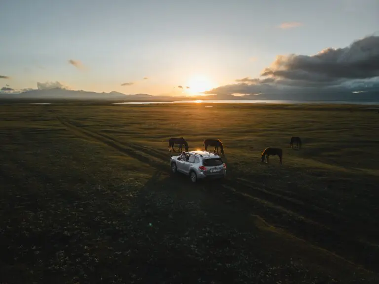 drone shot of car and horses in a field at sunset