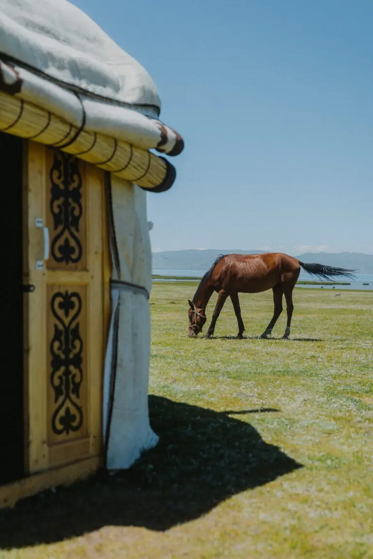 horse grazing near a yurt by a lake in Kyrgyzstan