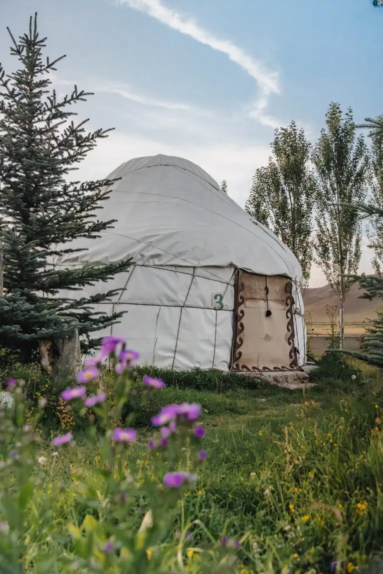 white yurt tent in a green field with purple flowers