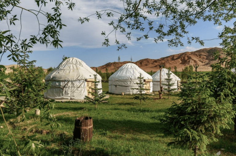 Yurtkamp, 3 yurts, bergen op de achtergrond