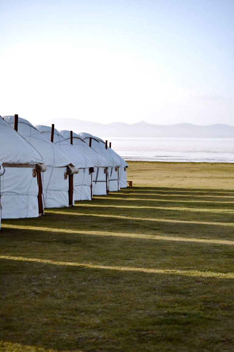 Yurtkamp