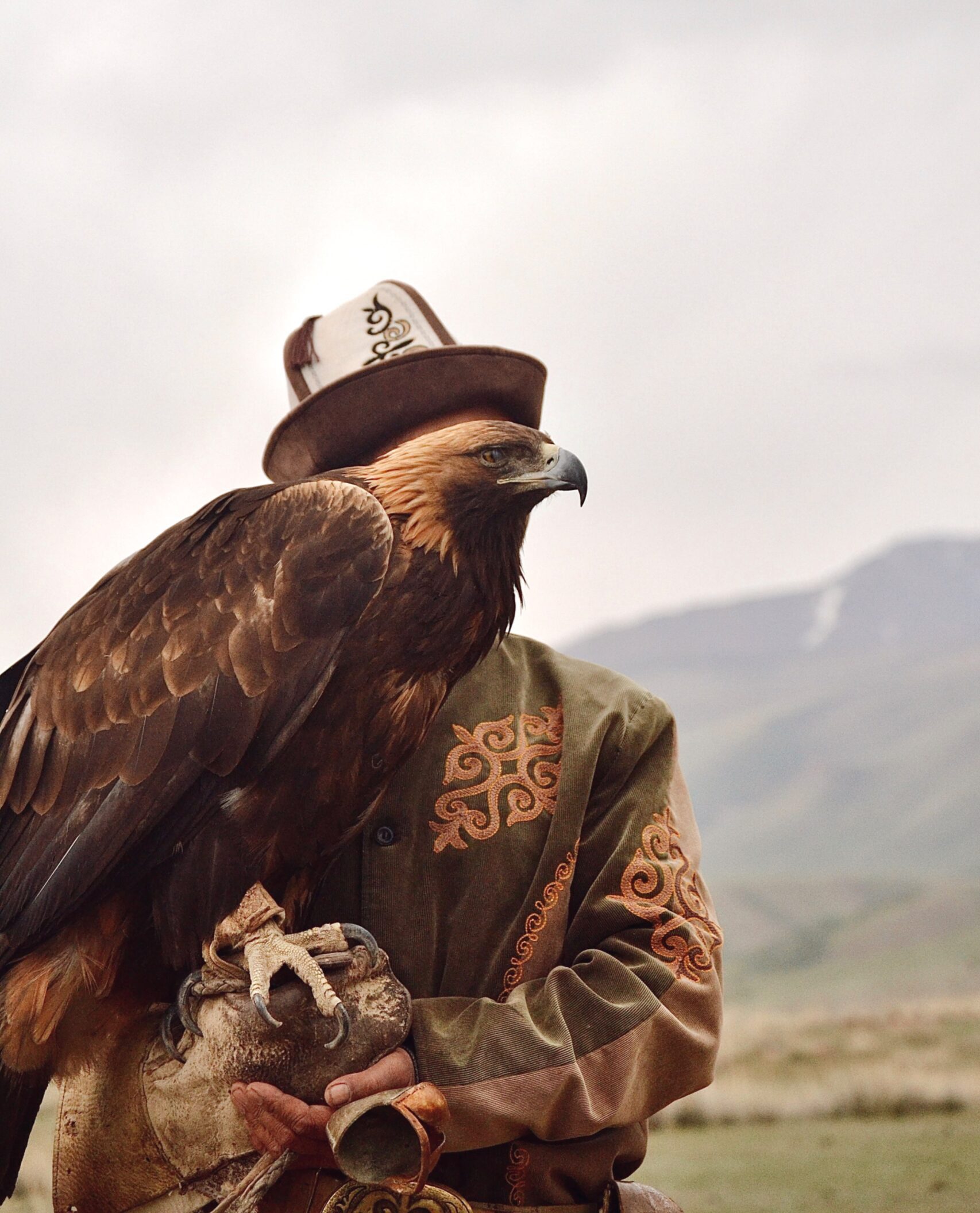 Eagle show